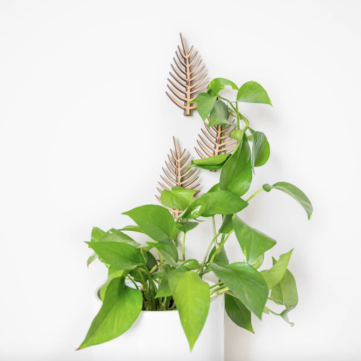 wall mounted plant trellis Palmella- Wall Mounted Trellis – Golden Hour Gift Co