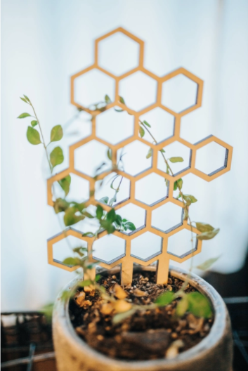 11" Honeycomb Plant Trellis Stakes