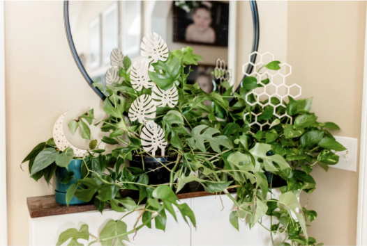 18.5" Honeycomb Plant Trellis Stakes