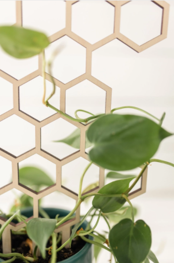 18.5" Honeycomb Plant Trellis Stakes