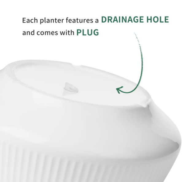 8.8 Inch Large Ceramic Plant Pot with Saucer - Black