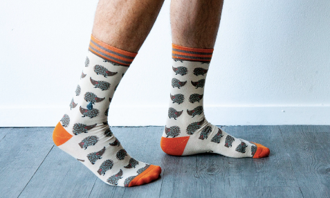 Looking Sharp Socks
