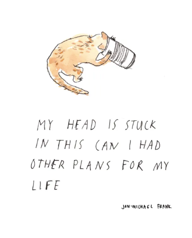 Cat Can