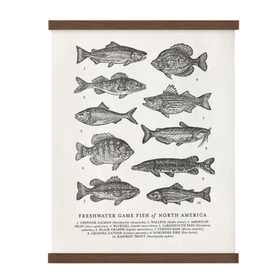 Guide to Freshwater Fish