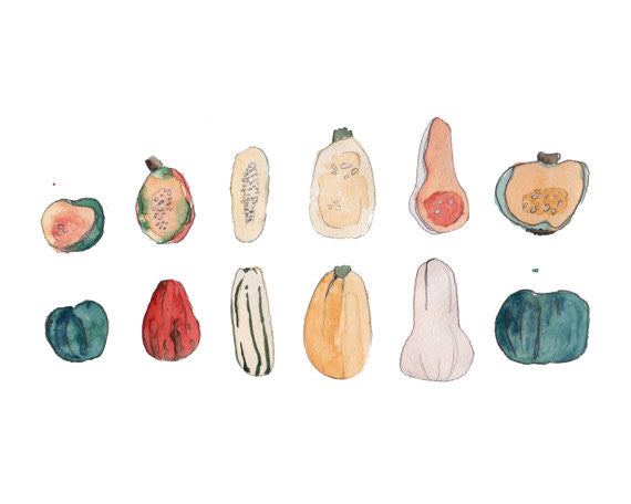 Squash 8" x 10" Watercolor Print