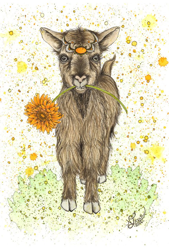 Goat Print 8x10 // by Nikki Laxar Art