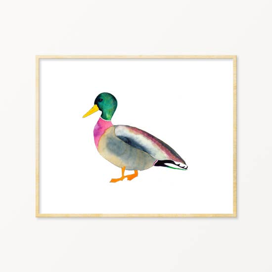 Mallard Art Print