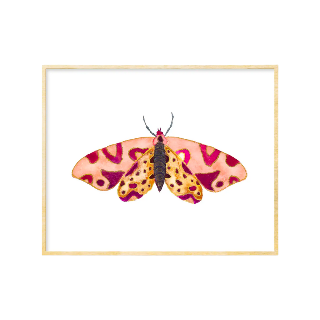 Moth #14 Art Print 8x10