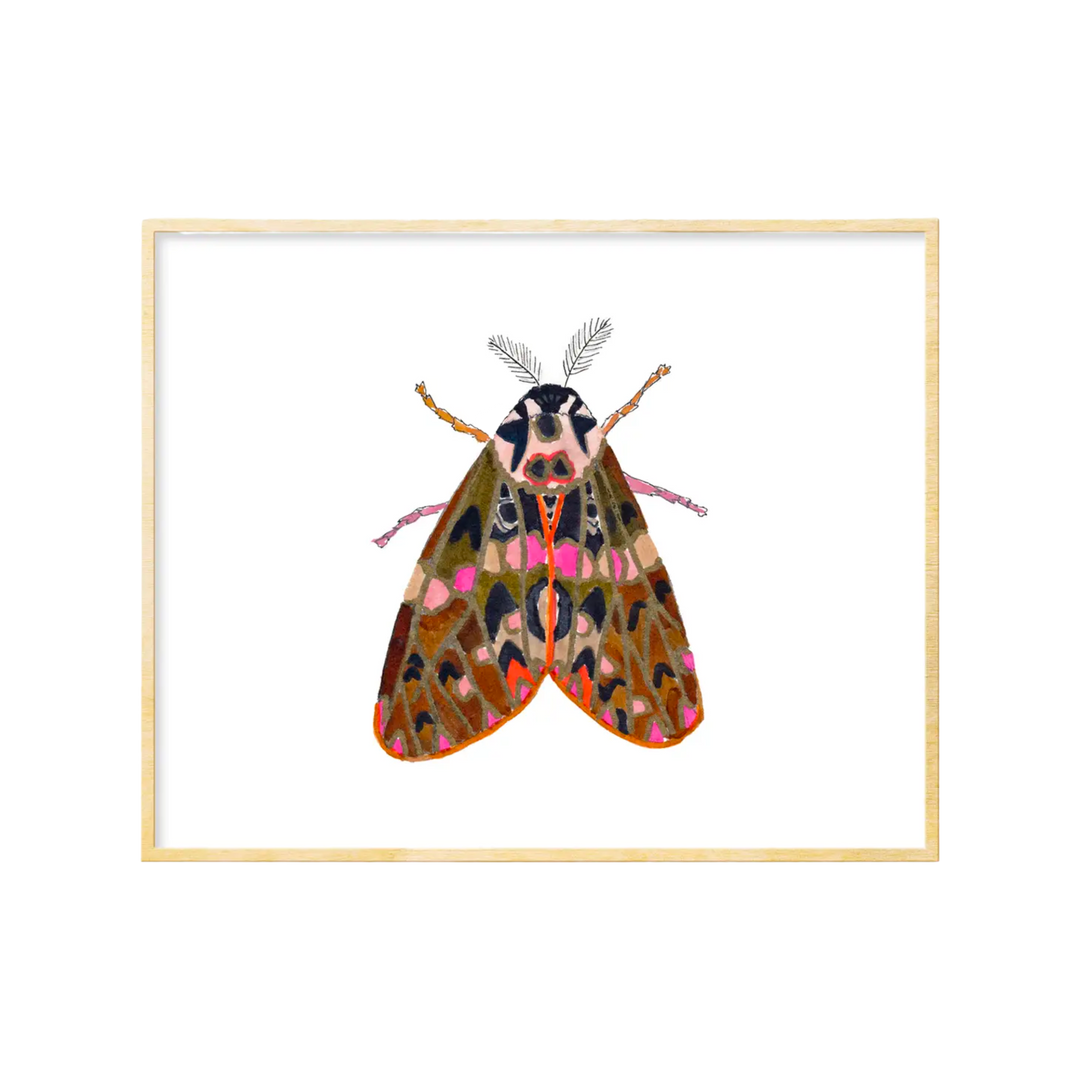 Moth #3 Art Print 8x10