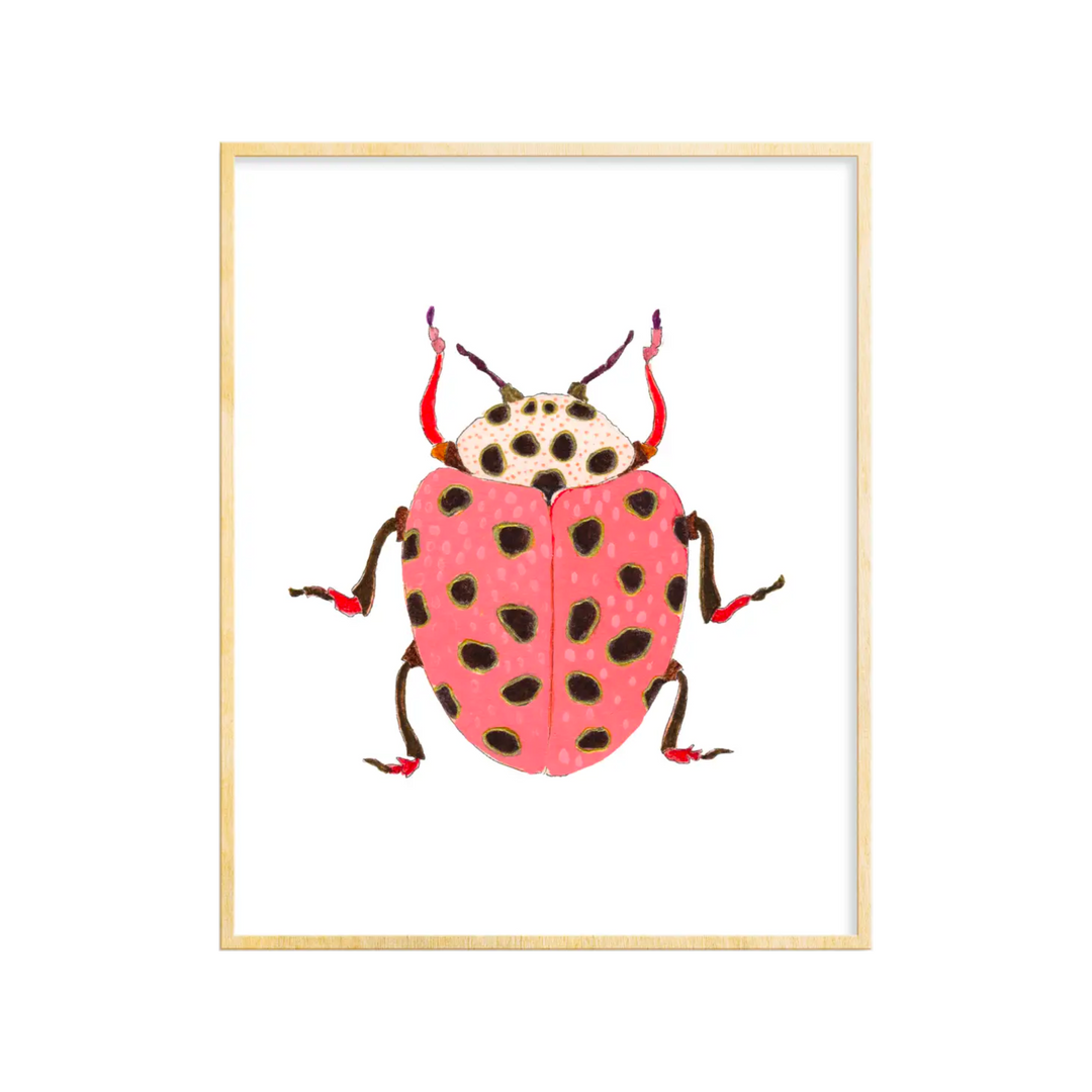 Beetle #20 Art Print 8x10