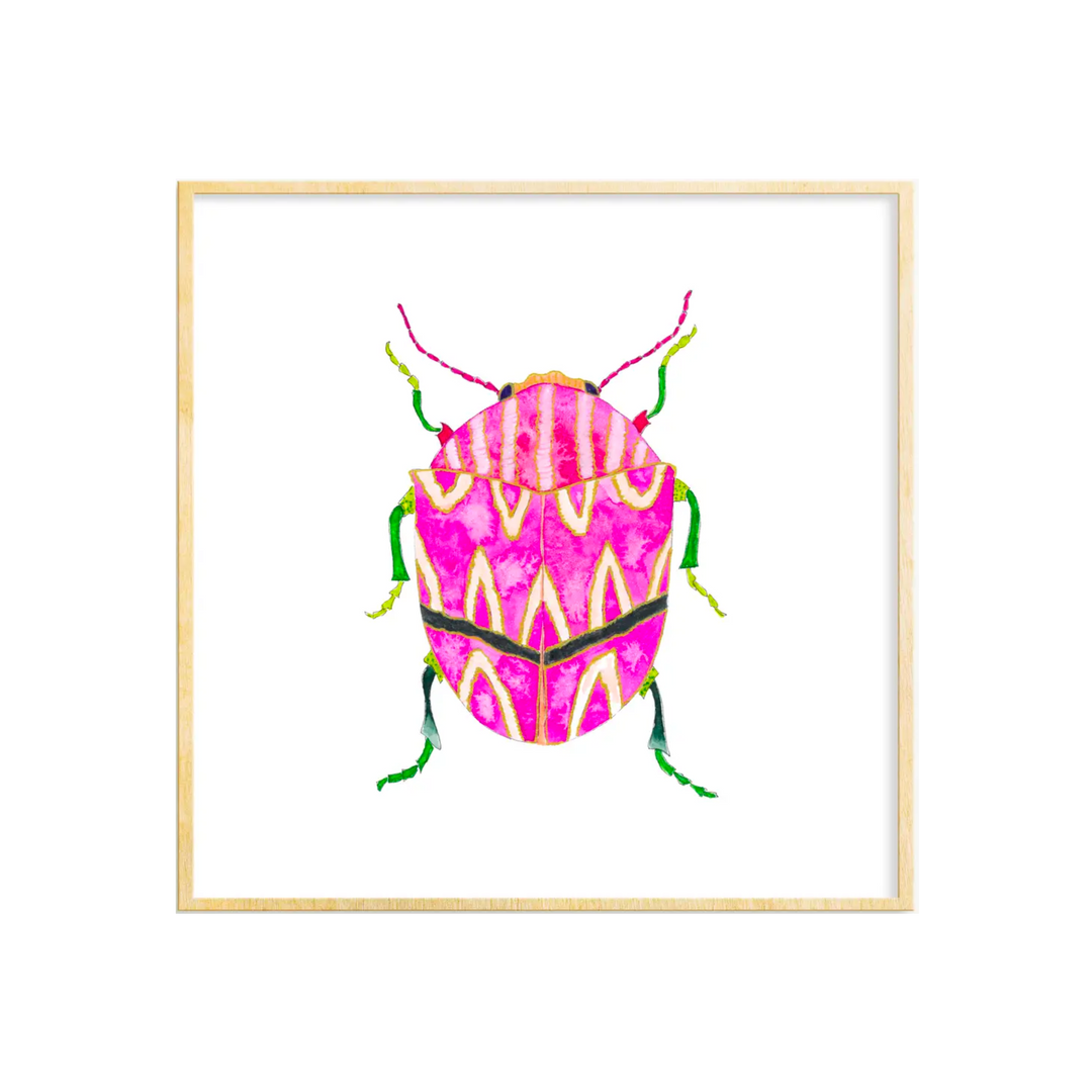 Beetle #9 Art Print 8x10