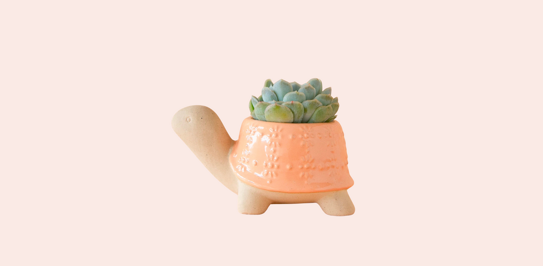 Cutest new planters, plant snips and more! Happy Spring