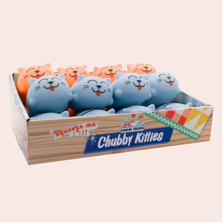 Farm Fresh Chubby Kitties, 3", Assorted Squishy Toy