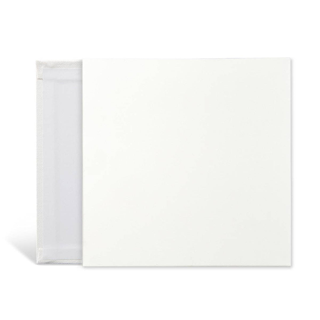 Canvas Panels 10x10 14 pc