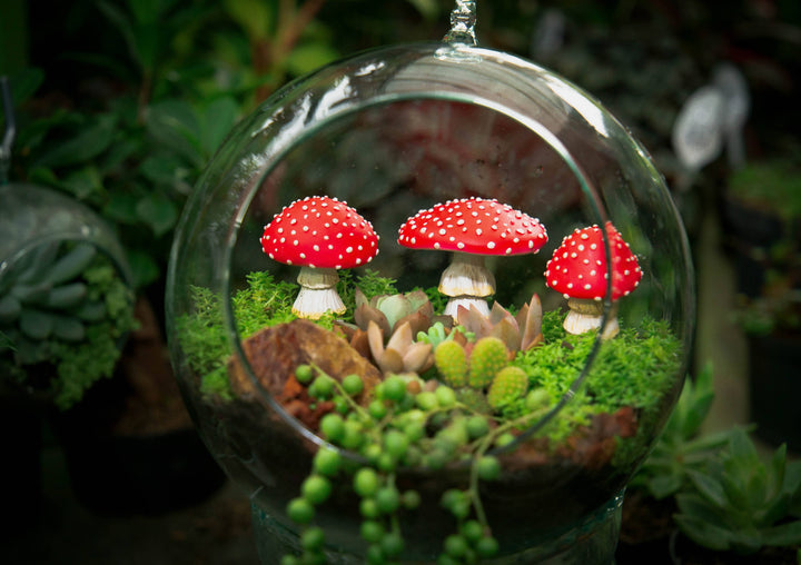 Mushrooms for Garden - Set of 3-  Glow in the Dark