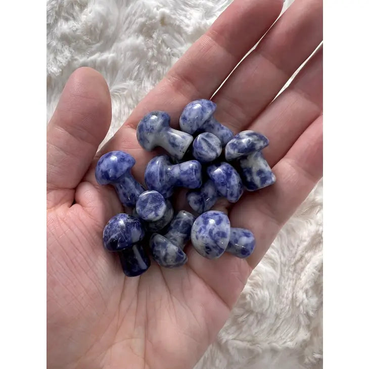 Mini Crystal Mushrooms