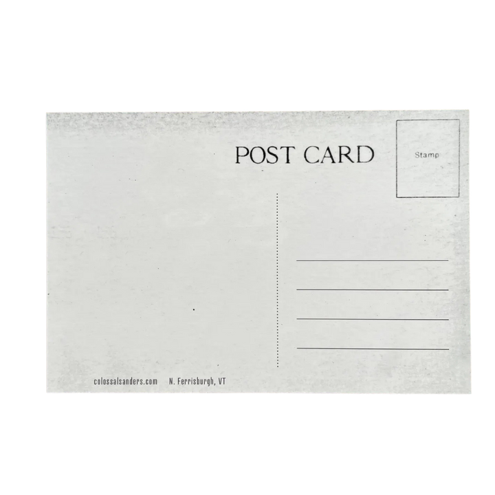 Vergennes Moose Rodeo Animal Postcard