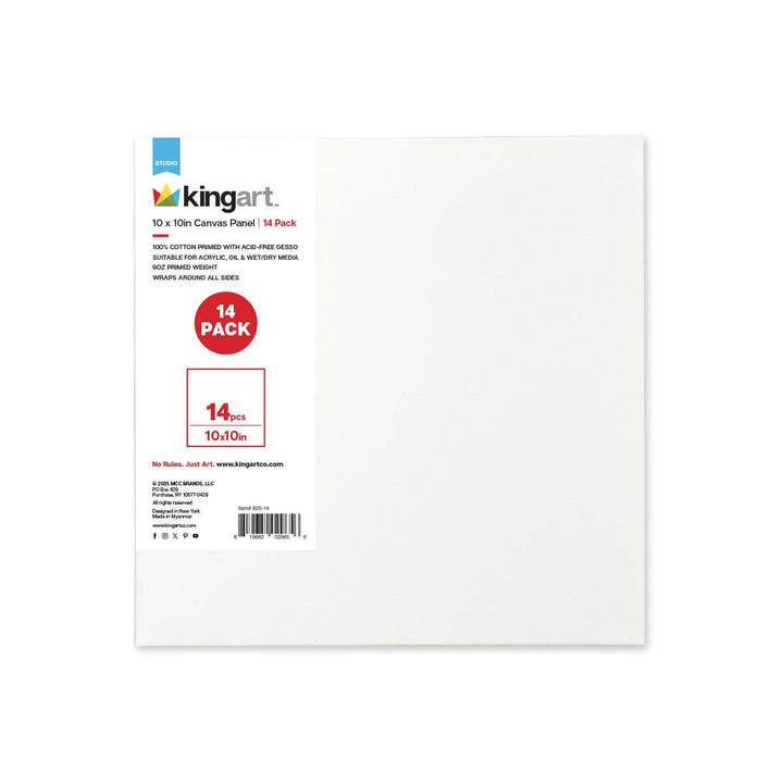 Canvas Panels 10x10 14 pc