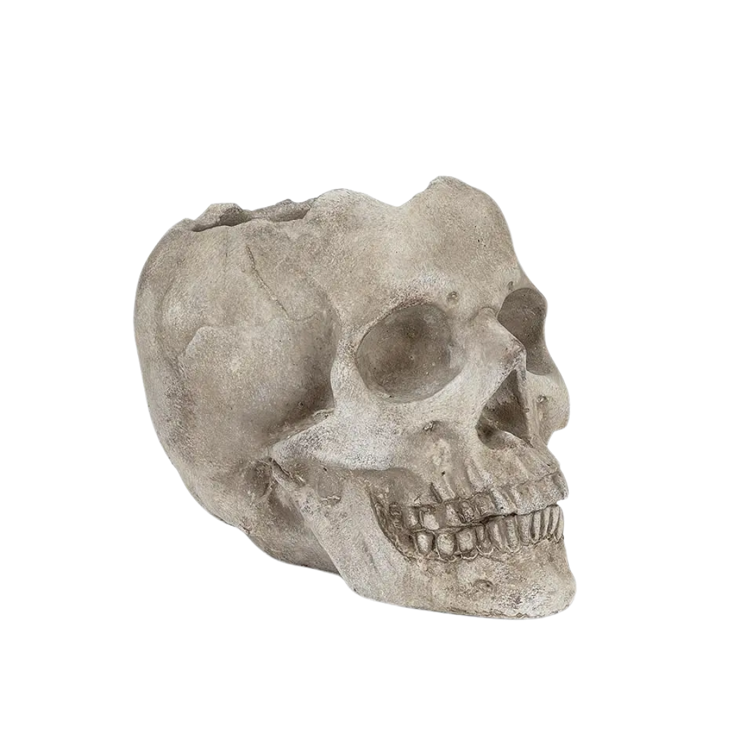 Large Skull Planter