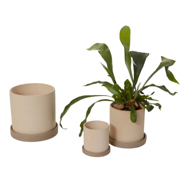 Kalmar Pot