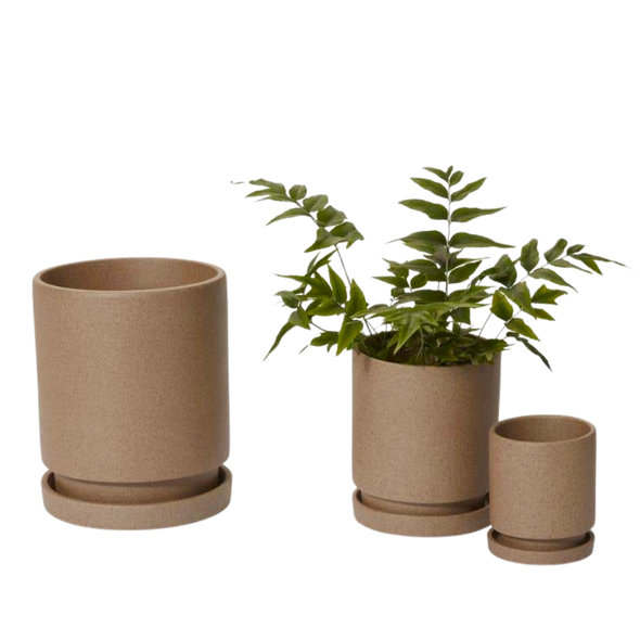 Imogen Pot