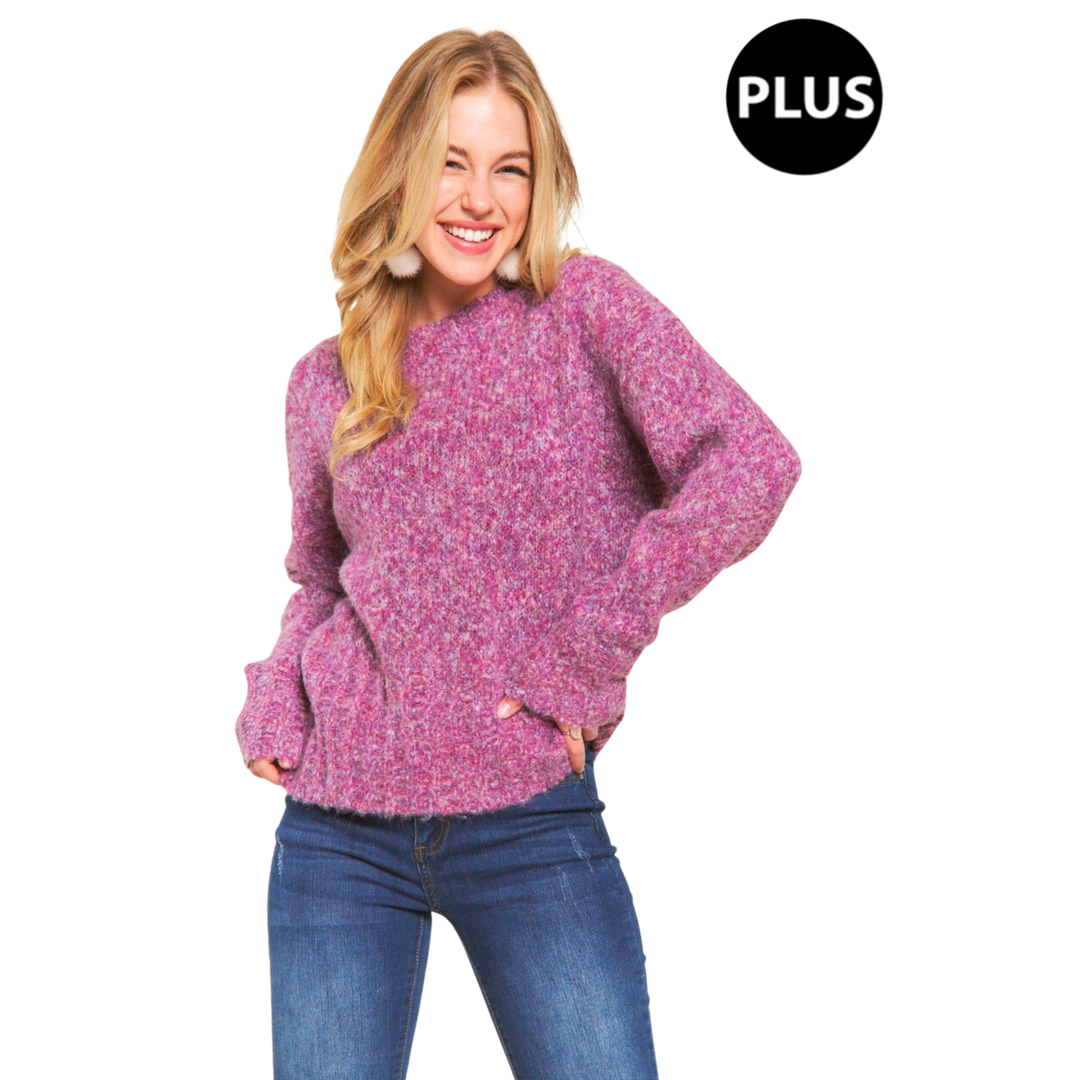 Plus Size 2Tone Fuzzy Sweater Top - Purple