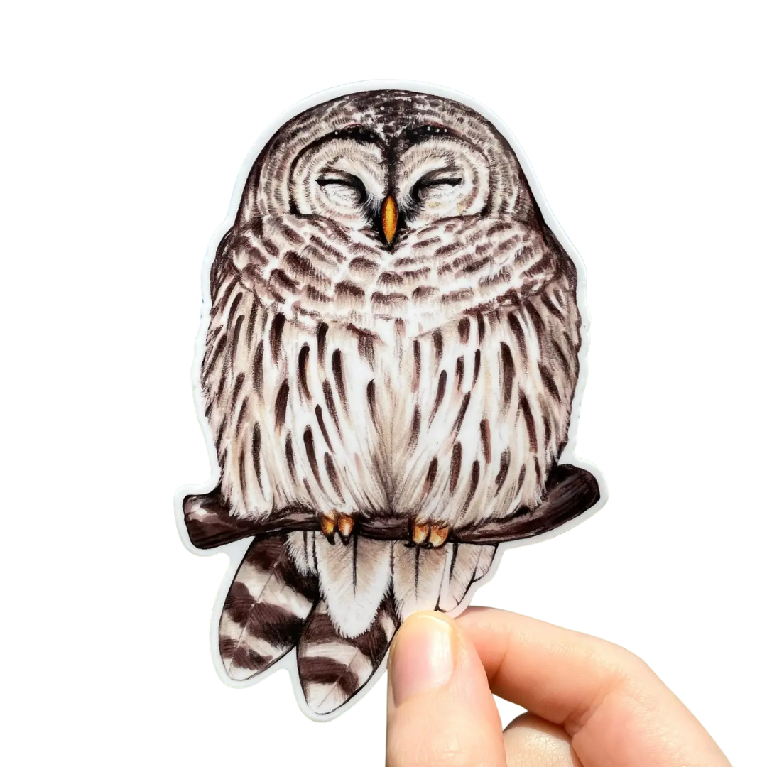 Cozy Barred Owl Vinyl Sticker