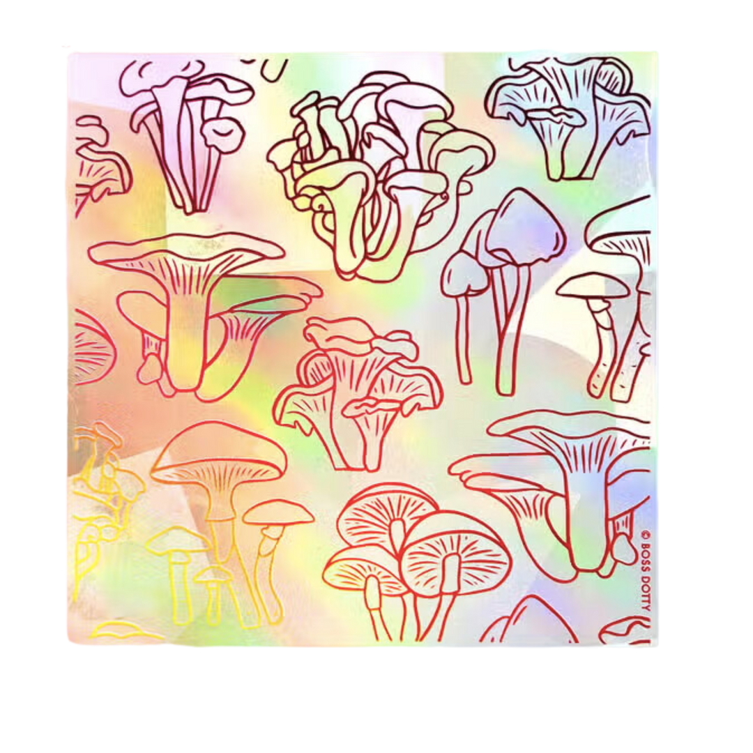 Mixed Mushrooms Rainbow Suncatcher Sticker