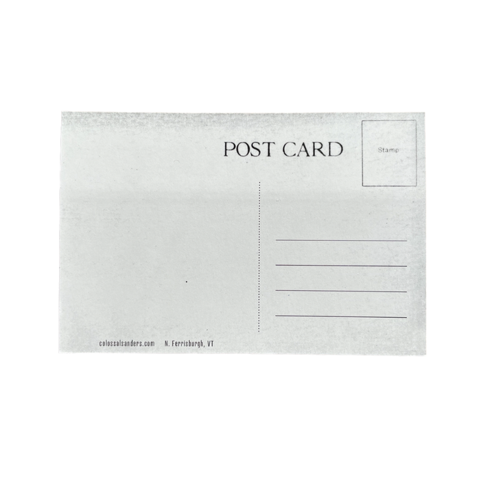 Bernie Sanders Statue Postcard