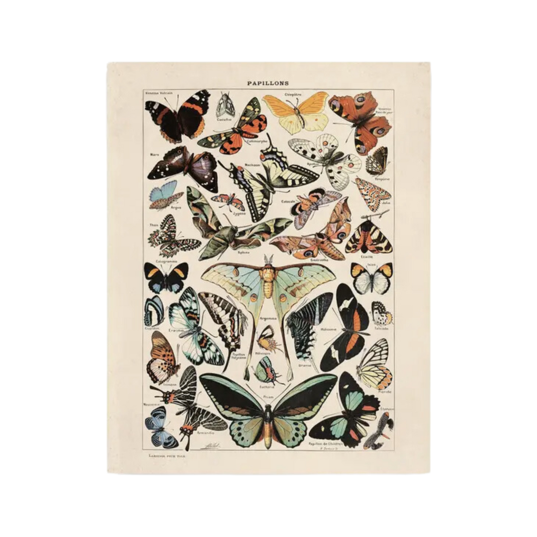Vintage Millot Butterfly 3 Print