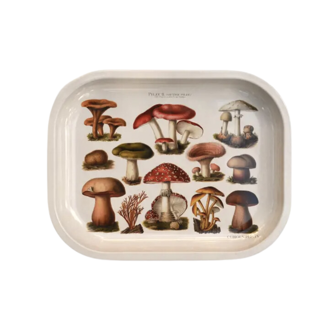 Small Metal Tan Mushroom Ritual Tray / Vintage Fungi Print