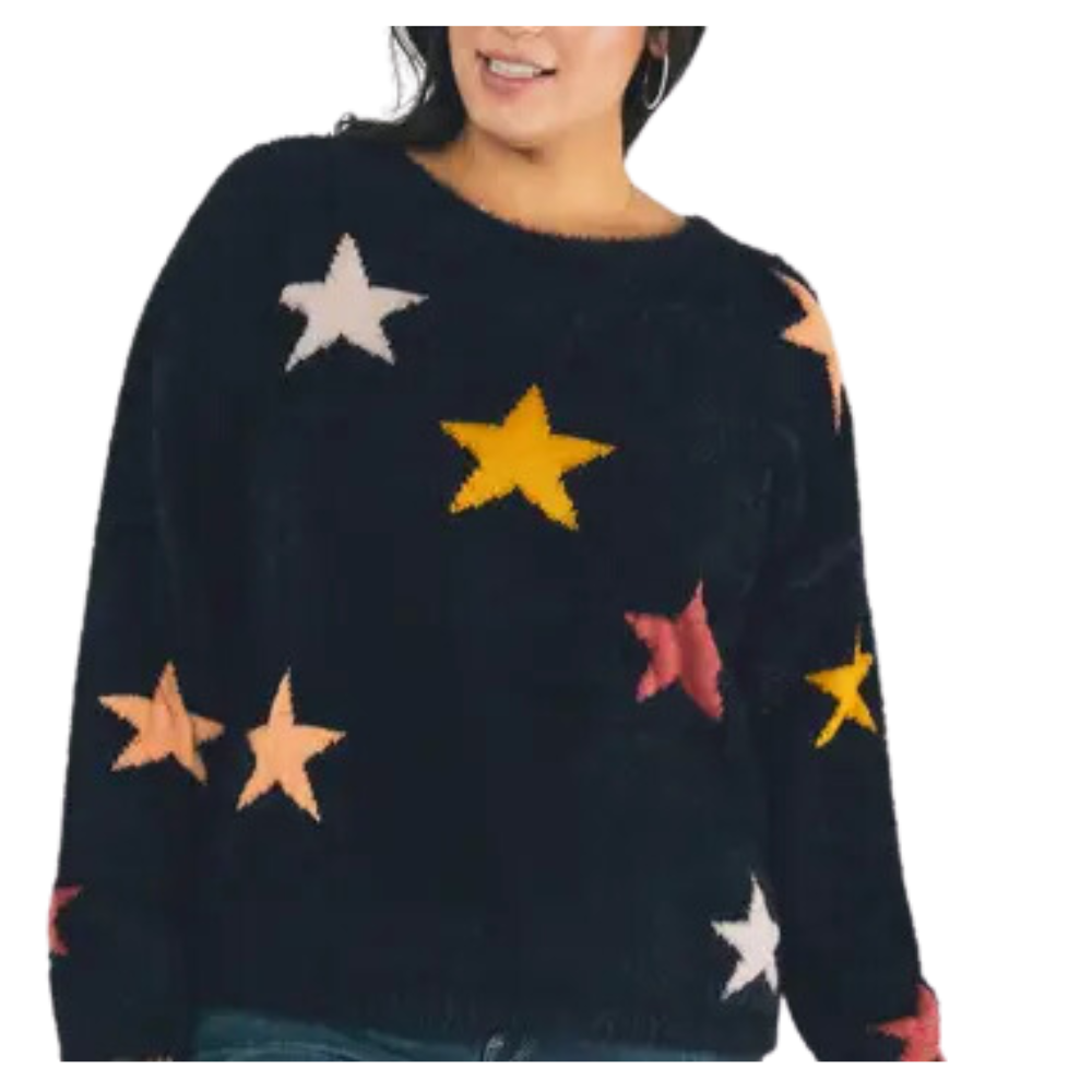 Plus Star Printed Round Neck Sweater