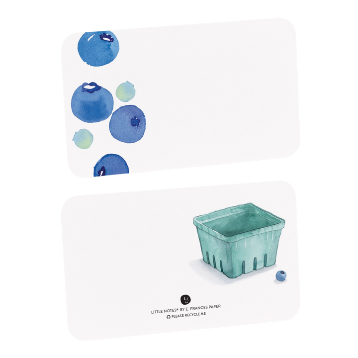 Blueberry Little Notes Notecards (55ct)