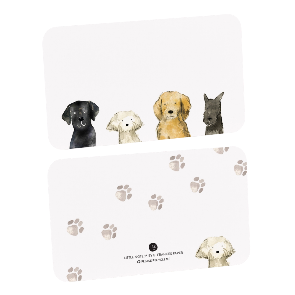 Dog Days Little Notes Notecards (55ct)