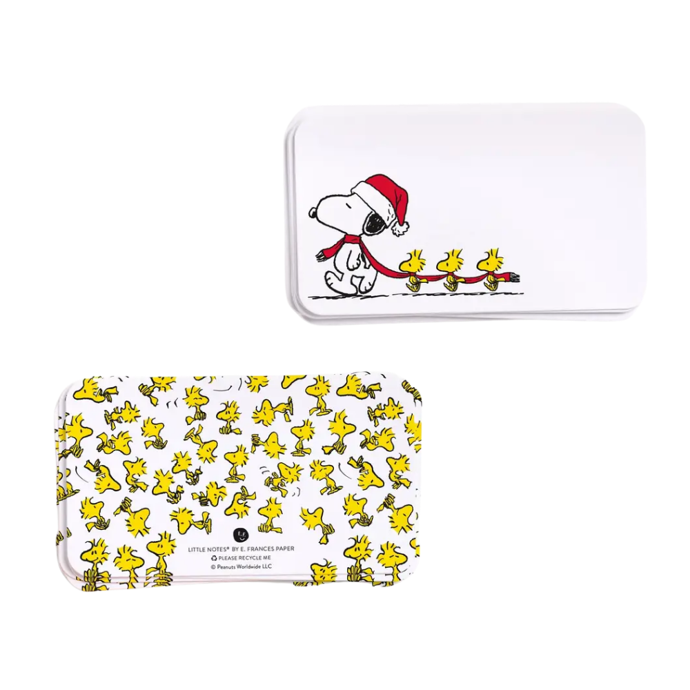 Peanuts Snoopy Long Scarf Little Notes® Notecards (55ct)