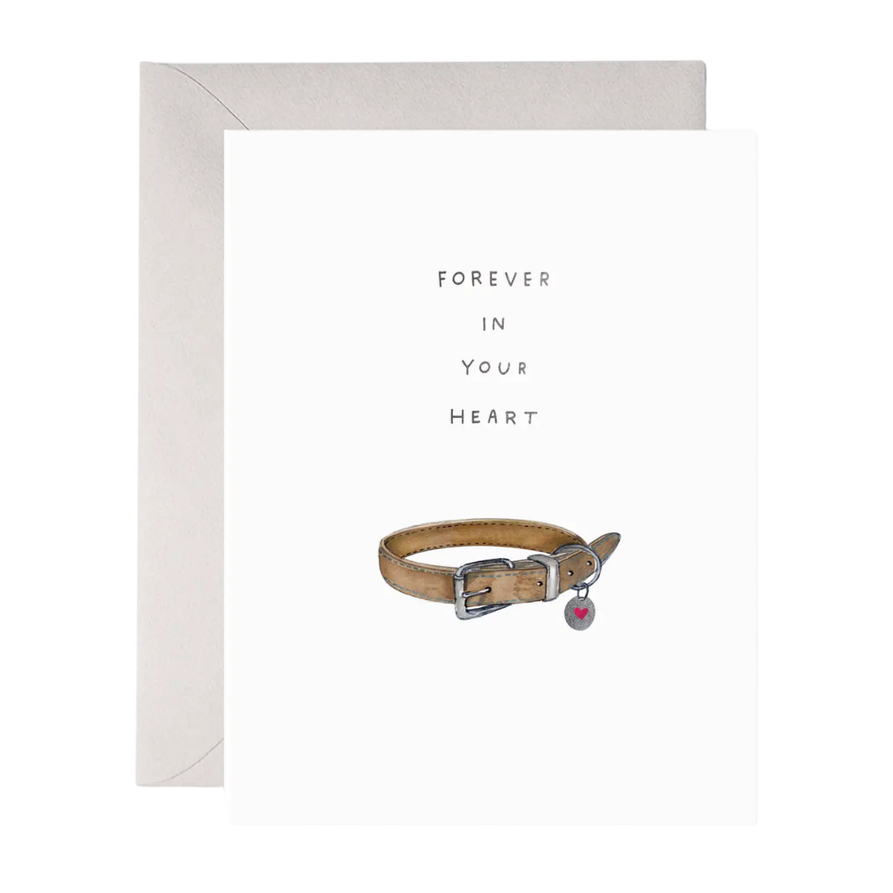 Pet Collar Sympathy Card