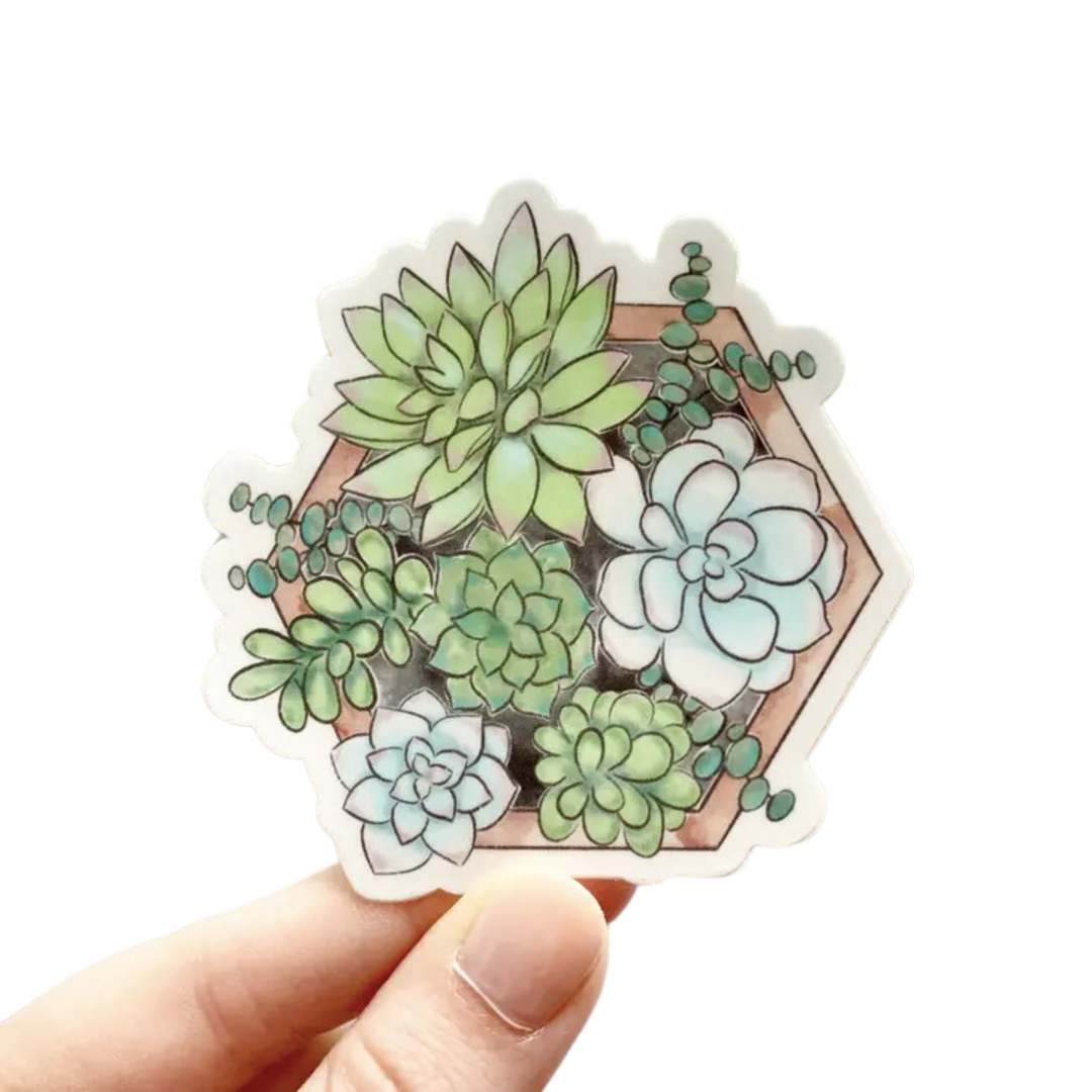 watercolor succulent stickers Watercolor Succulent Planter Sticker