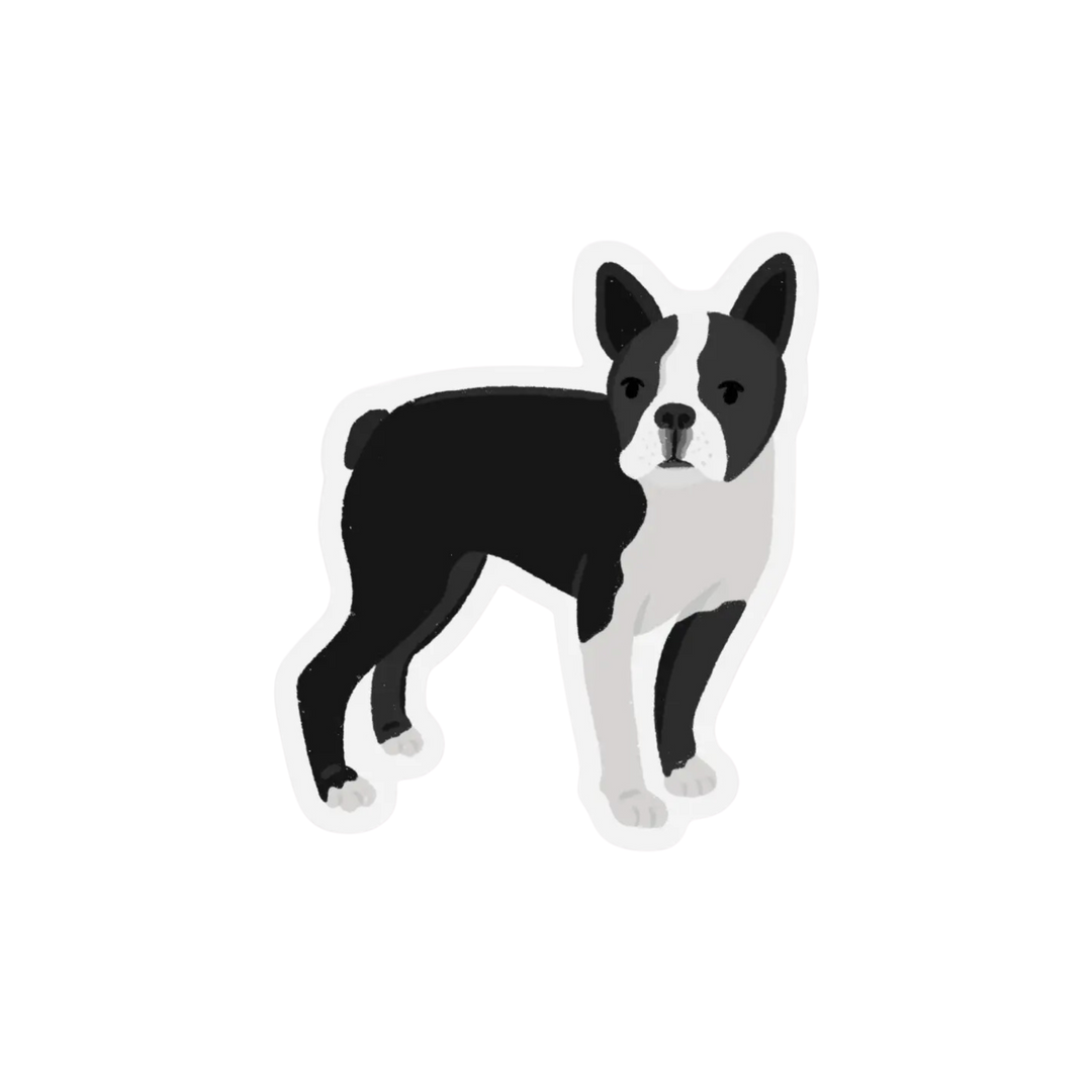 Clear Boston Terrier Dog Sticker