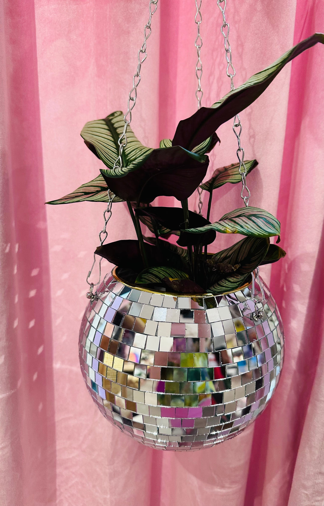 disco hanging planter 8" Disco Ball Hanging Planter