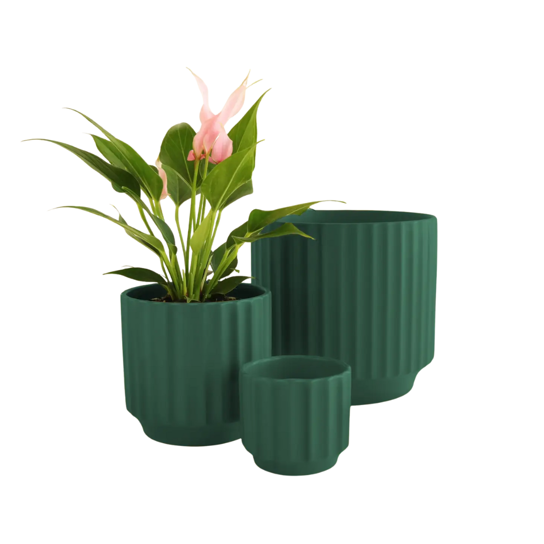 Monroe Planter