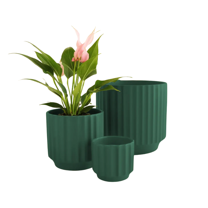 Monroe Planter