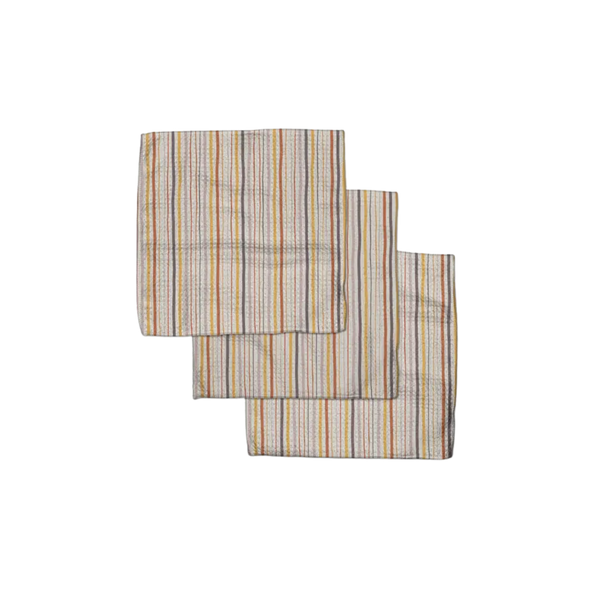 Stripe Season Dishcloth Set