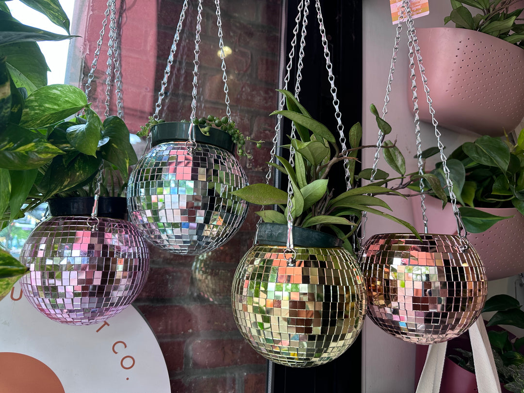 ball plant pot Disco Ball Hanging Planter 6" – Golden Hour Gift Co