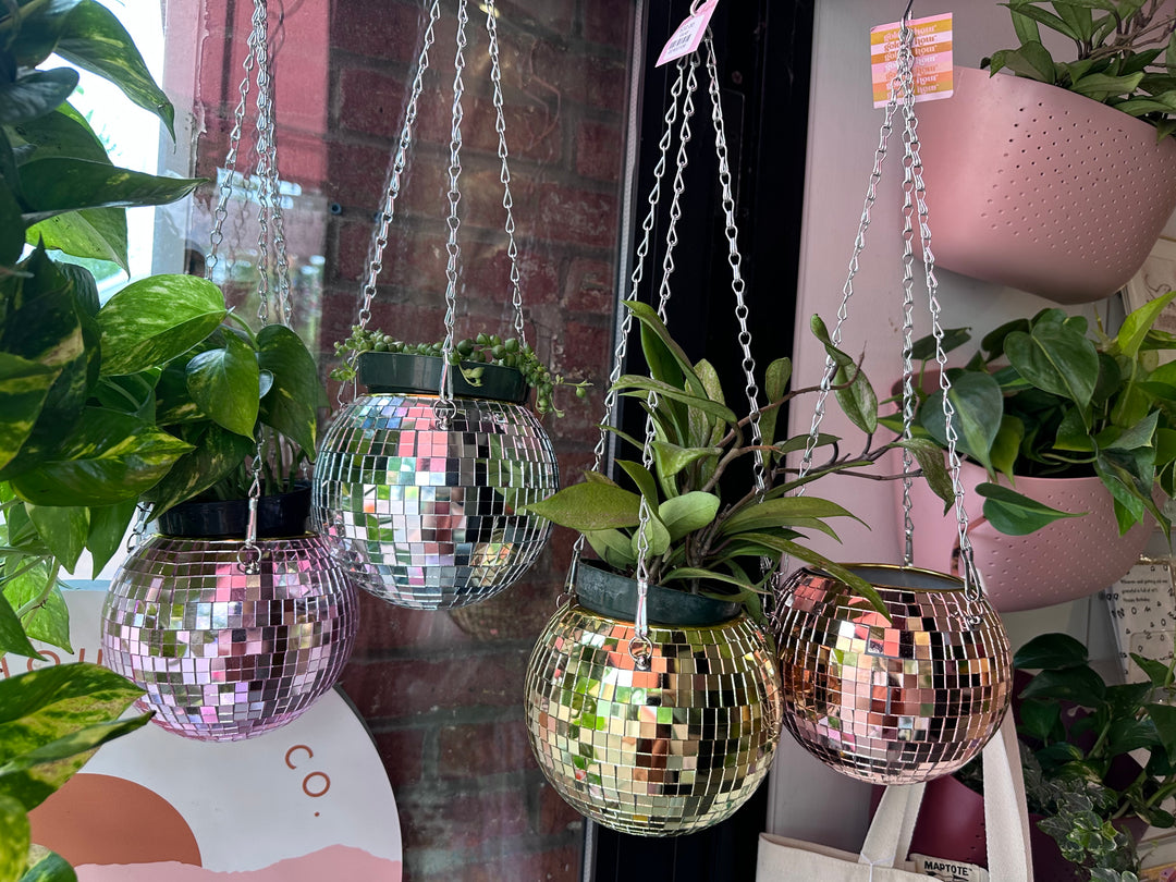hanging planter ball Disco Ball Hanging Planter 6" – Golden Hour Gift Co