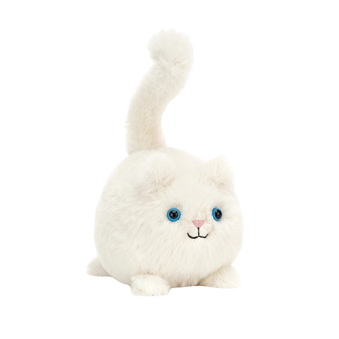 Kitten Caboodle – Golden Hour Gift Co Kitten Caboodle – Golden Hour Gift Co