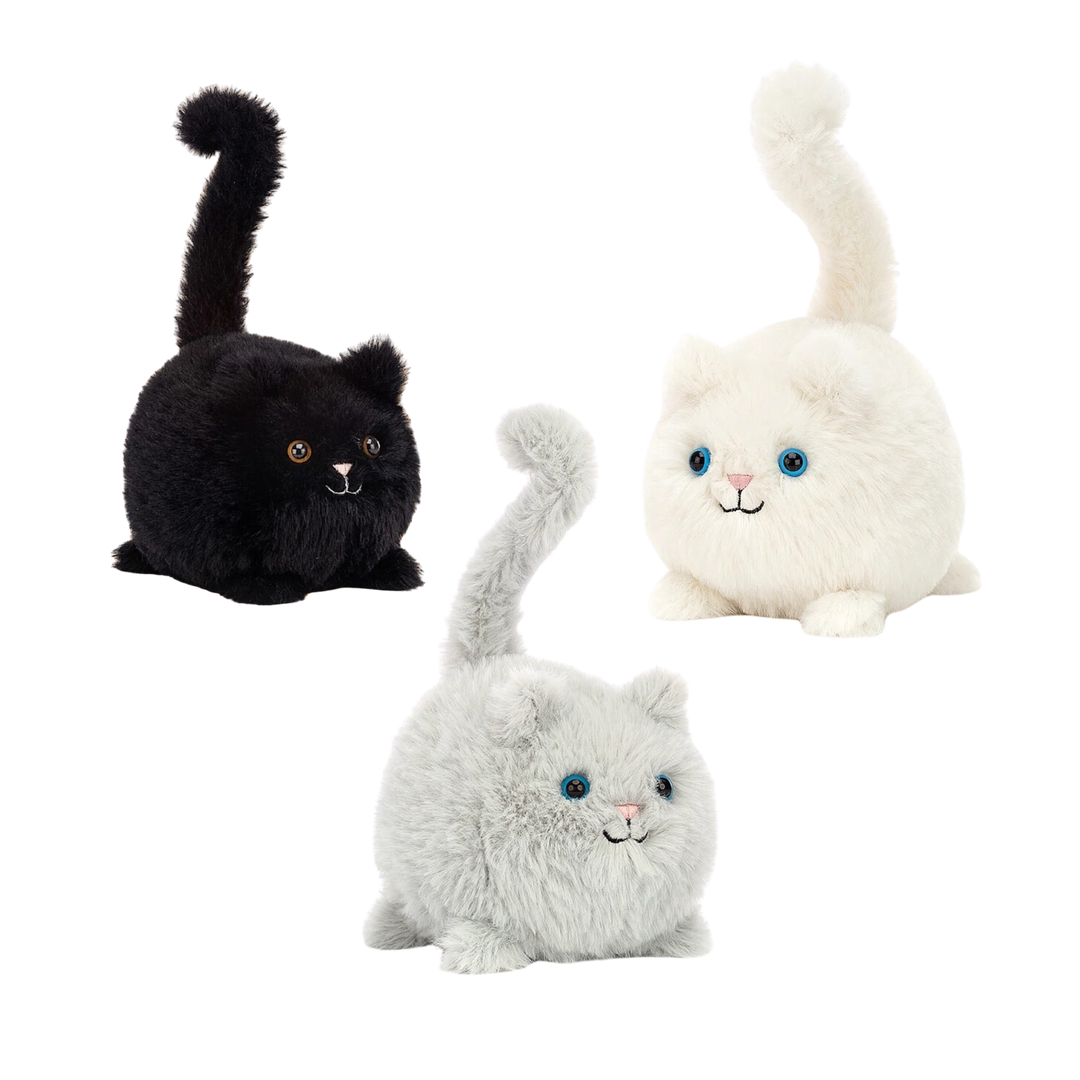 Kitten Caboodle – Golden Hour Gift Co Kitten Caboodle – Golden Hour Gift Co
