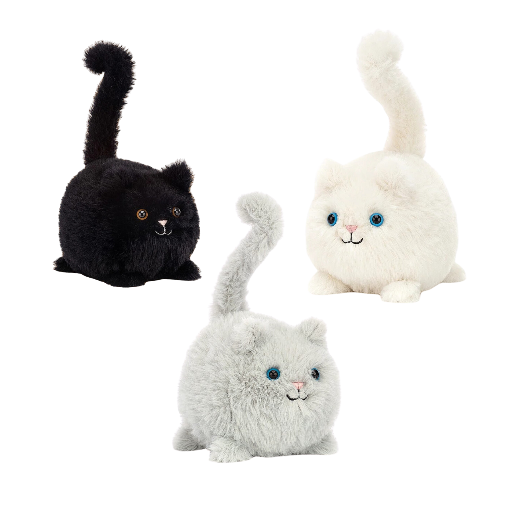 Kitten Caboodle – Golden Hour Gift Co Kitten Caboodle – Golden Hour Gift Co