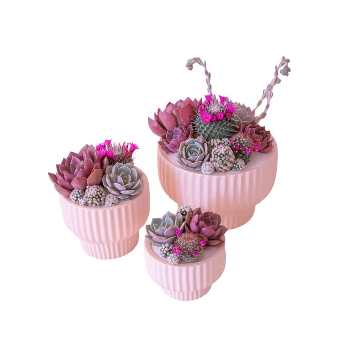 Presley Pedestal Pot - Ballerina