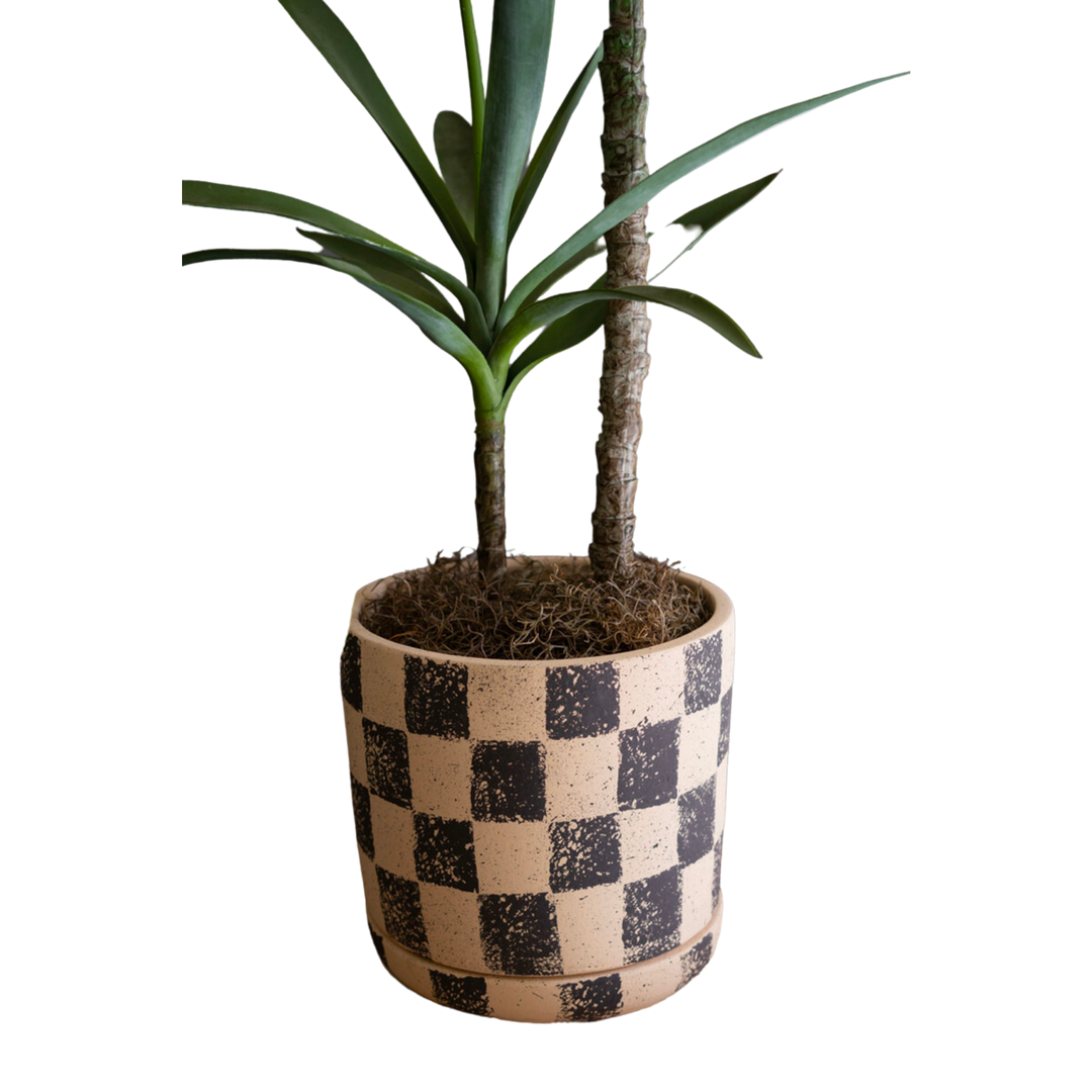 Checkered Clay Planter with Tray