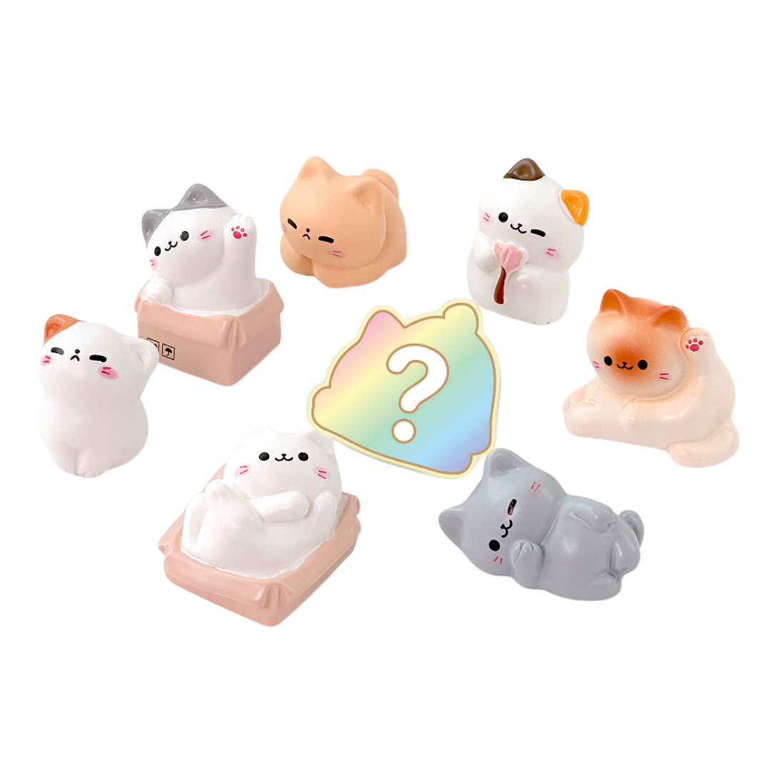 Cozy Cat Mystery Box